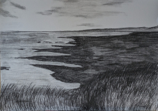 The Wetlands, Newport