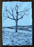 The Lonely Tree