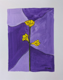 Freesia