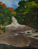 Waterfall, Hafod Estate Cwmystwyth
